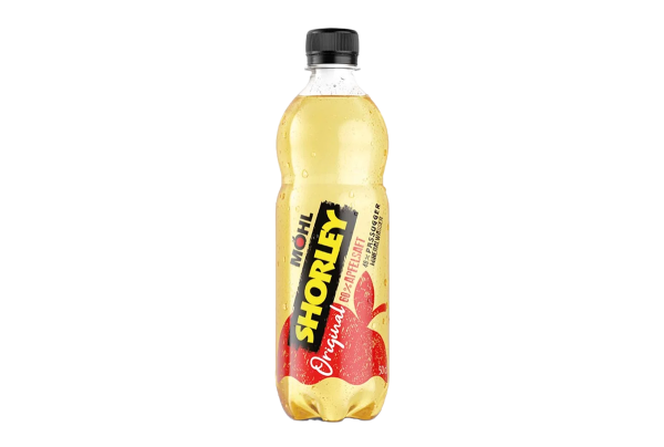 Apfelschorle moehl 05l
